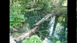 preview picture of video 'Plitvice Lakes - Summer holiday 2013'