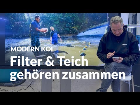 Winter operation of the koi pond: Filter on or off? | Modern Koi Blog #7872