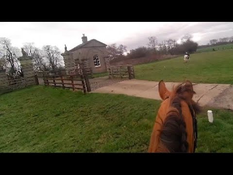 Oh No! I have taken a wrong turn 🏇🏼 Farouk is doing a 10 mile Pleasure Event at Little Ribston