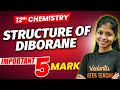 12th Chemistry Structure Of Diborane Important 5 Marks Questions Shravanee Ma Am