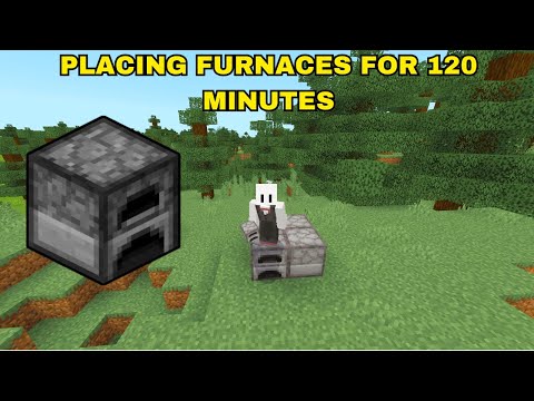 Furnace-Packed Forest: 120 Minutes of Madness