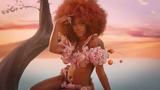 SZA - Warm Winds ft. Isaiah Rashad (Audio)