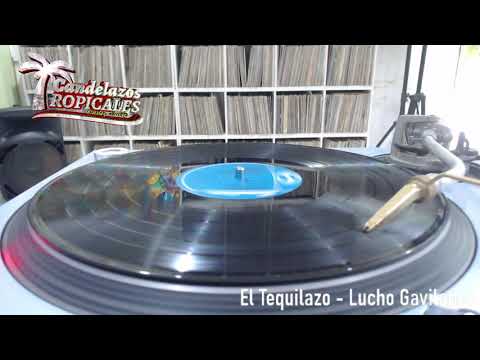 El Tequilazo - Lucho Gavilanes