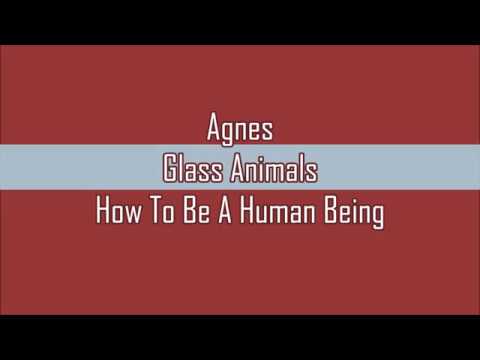 Glass Animals - Agnes (Lyrics)