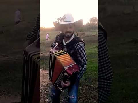 O QUE TEM A ROSA #sanfona #modao #forró #sertanejoraiz