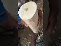 Bambaram Homemade Trending Like This Video Tamil