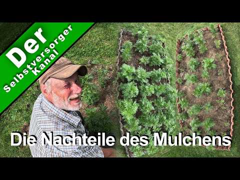 Mulching, yes or no. Just a simple test.