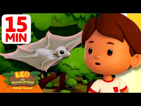 Witness21 Editor  2025 05 30