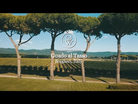 Guado al Tasso, Bolgheri