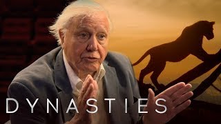 דייוויד אטנבורו על שושלות | BBC Earth