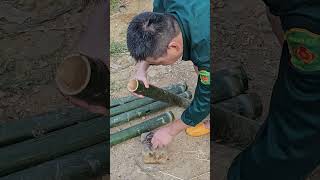 Download lagu Daily Life at Uncle's Farm #3: How to Make A Bamboo Eel Trap #farmlife #eels mp3