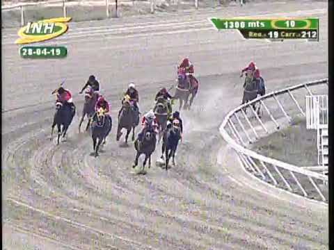 Copa "My Own Business" 2019 | Freely | La Rinconada