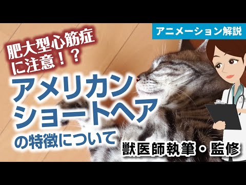 猫のアイコン
