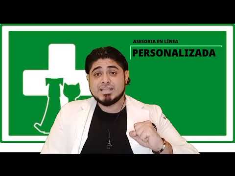 What are Sulfas and what are they used for in pets?