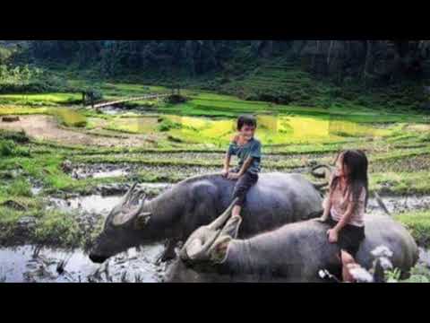 DIPARSOBANAN /ai diingot hodope ito na diparsobanani by seruling sianturi