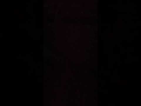 Amnésia - FREESTYLE n°1