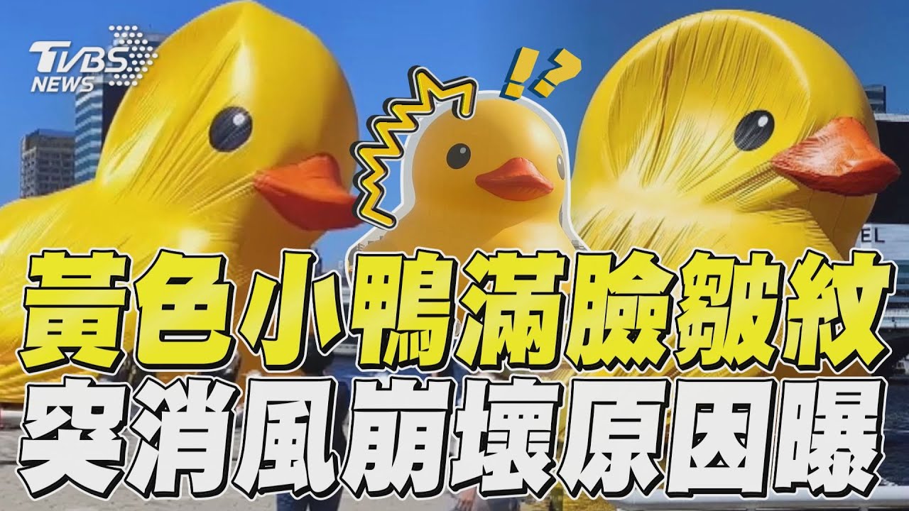 影音/黃色小鴨「滿臉皺紋」 突消風崩壞原因曝光!
