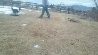 Download lagu Dani station 1-21 mp3 Download lagu Dani station 1-21 mp3