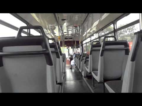 Transdev NSW m/o 981- Csepel 844.19 (ZF) (Custom Coaches 510) - Route 922 Outbound