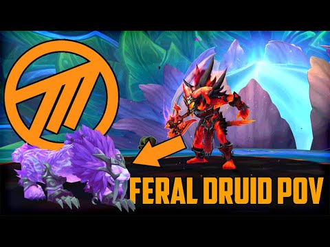 Method VS Mythic Fyrakk - Feral Druid PoV - World 3rd