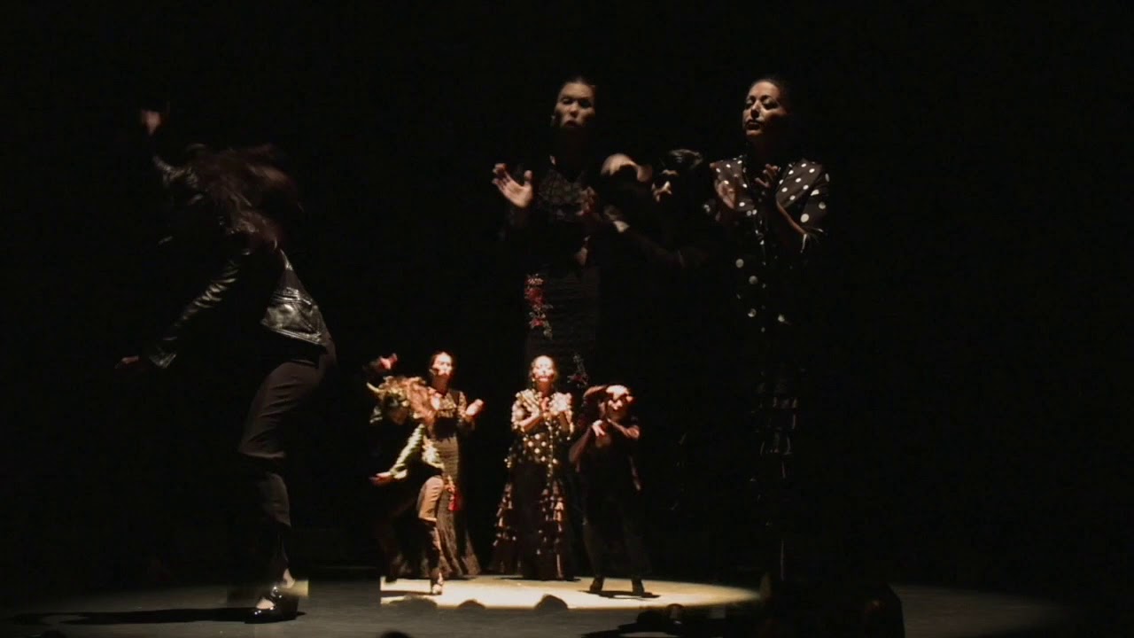 Promotional video thumbnail 2 for Fanny Ara Flamenco Dance Company