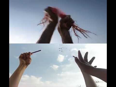 The Cat King - Zero budget Lion King Trailer