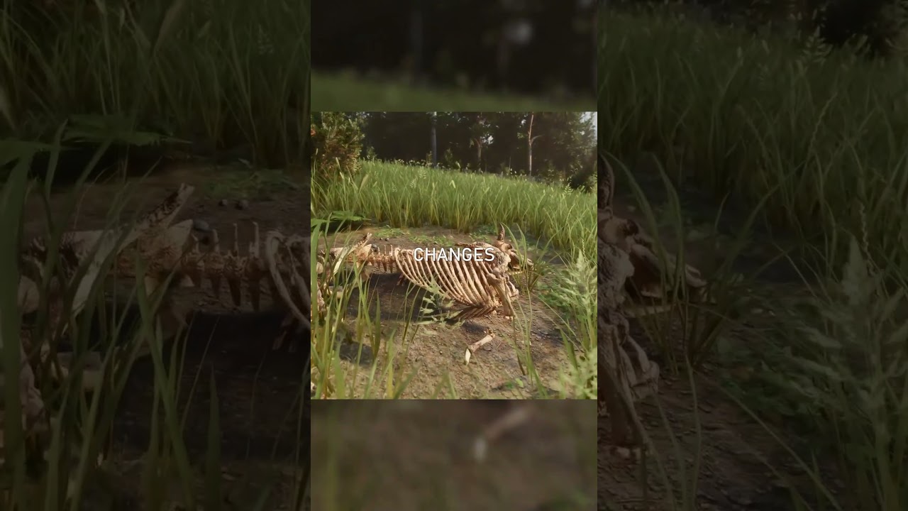 A world full of danger and discovery awaits ⚔️🌄#gaming #gamedev  #indiegamedev #gamedeveloper