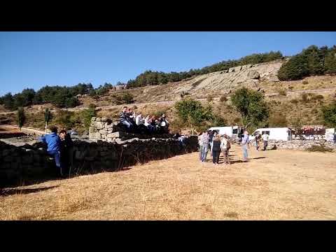 El Espino en el termino de Cabezas del villar(3)