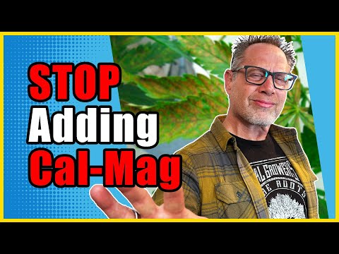 Don't Add CalMag to Your Cannabis Plants Unless You Know About This...
