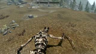 Skyrim: Превращение в дракона