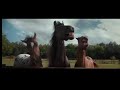 La Meilleure Vidéo De Chevaux A Mourir De Rire