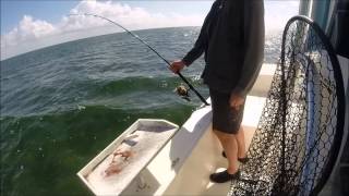 Kids Shark Fishing