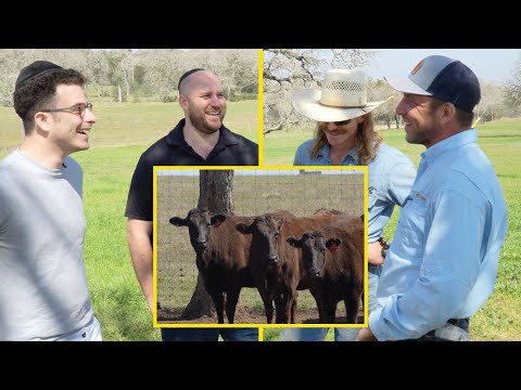 Have You Ever Heard of Kosher Wagyu? | YID ON A TRIP - Texas | TYH Nation