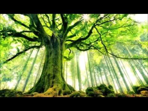 PUT LJUBAVI / ANTONI DE MELO