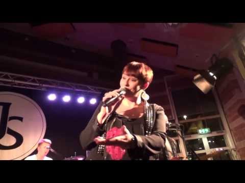 Jenny Saléns - Vår Egen Bröllopsdag