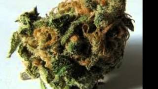 mr sancho ,lil rob,OG playboy,southsiders.