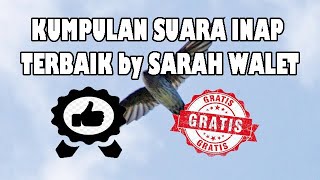 Download lagu 8 SUARA INAP WALET TERBAIK DARI SARAH WALET mp3 Download lagu 8 SUARA INAP WALET TERBAIK DARI SARAH WALET mp3