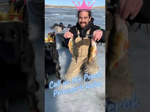 Suction HOLE Ice Fishing?? #Shorts