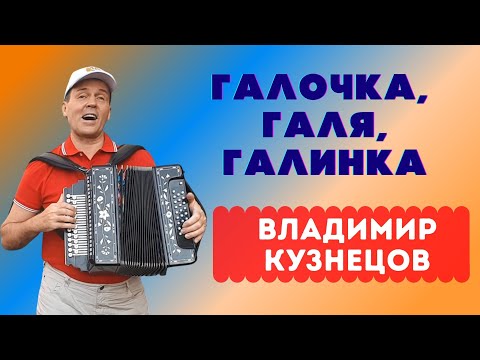 Галочка, Галя, Галинка. Владимир Кузнецов. #золотыехиты