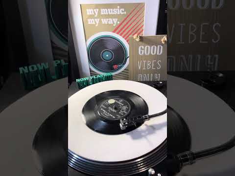 The Animals- The House Of The Rising Sun ( Vinyl 45 ) From 1964 .