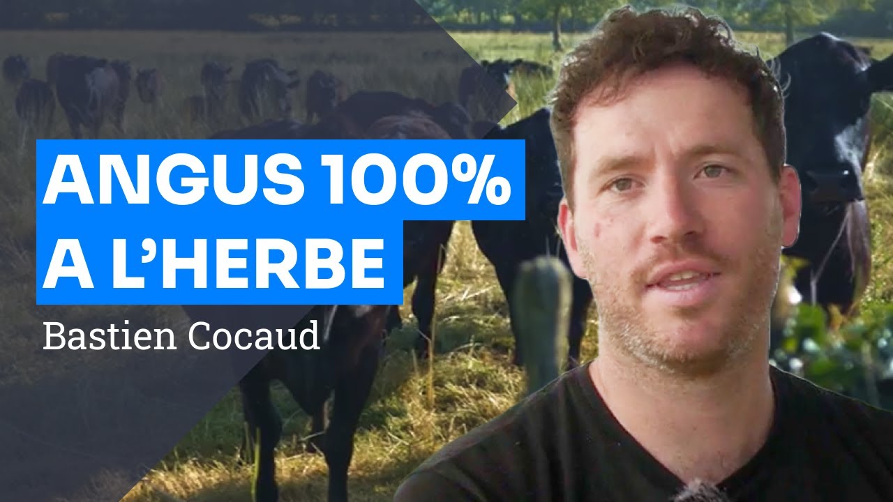 Bien vivre de ses boeufs 100% à l'herbe, B Cocaud