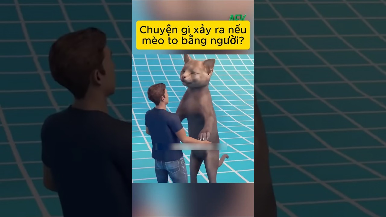 Chuyện gì xảy ra nếu mèo to bằng người?