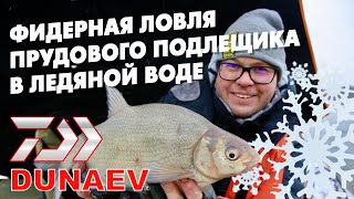 Фидерная ловля прудового подлещика в ледяной воде.