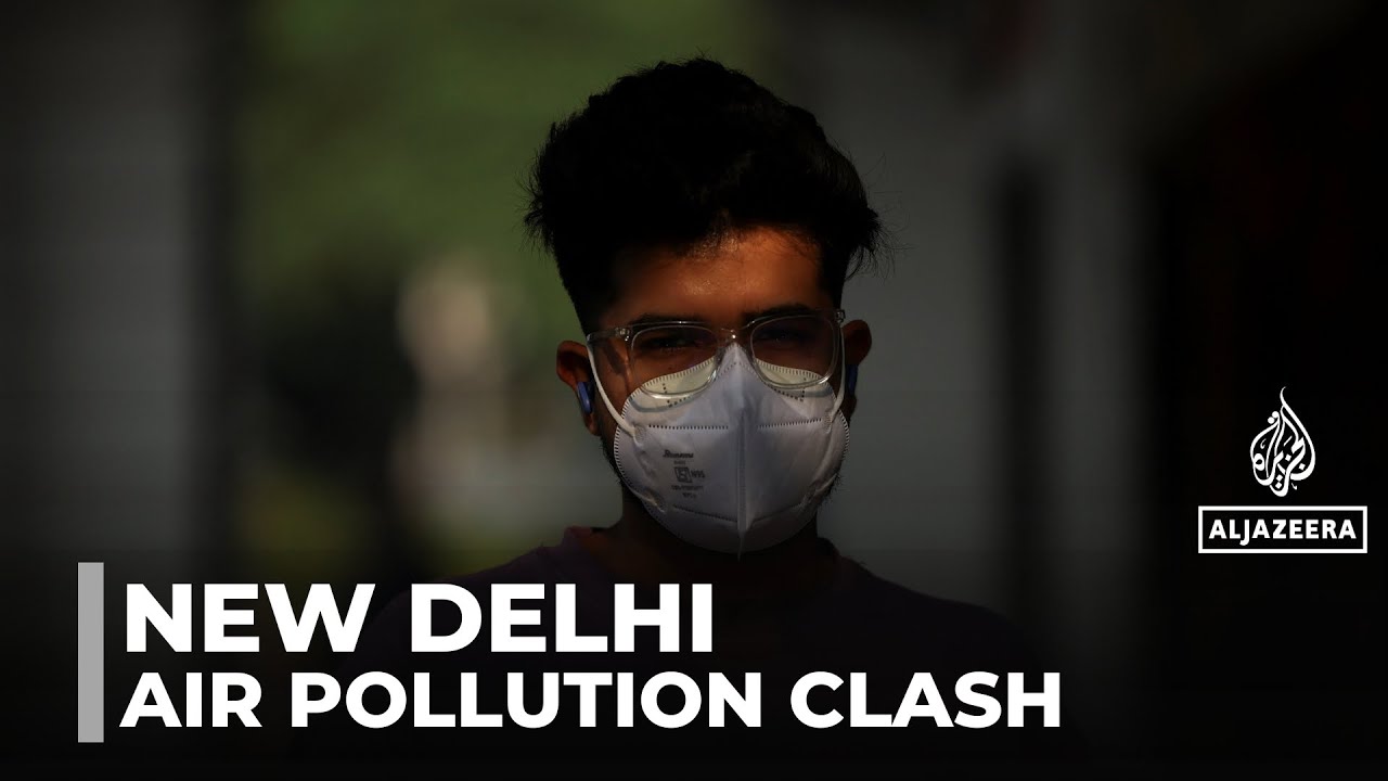 India pollution protests: Police arrest demonstrators in New Delhi