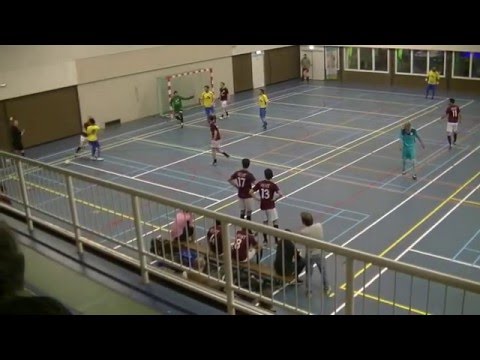 Samenvatting Adelaars - Golden Stars 3 4-2