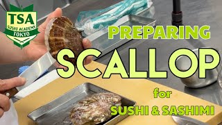 Preparing Scallop for Sushi & Sashimi @tokyosushiacademyenglishcourse