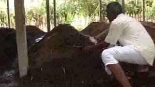 Organic Farming - A Success Story in Tamil Nadu, India