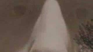 Tito & Tarantula-back to the house that love built