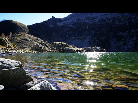 video frame placeholder