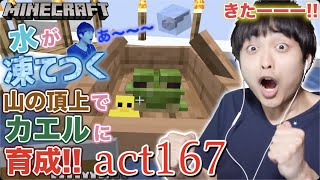 【マインクラフト】オタマジャクシが凍りつくほど寒い山の頂上で緑色のカエルに育成!! 生き残ってくれオタマジャクシ!! コオリコワイ...【セイハのセハクラ実況act167】